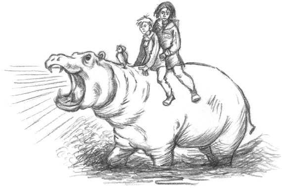 Иллюстрация к книге — Где-то там гиппопотам  [i_224.jpg]