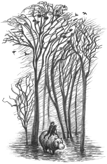 Иллюстрация к книге — Где-то там гиппопотам  [i_227.jpg]