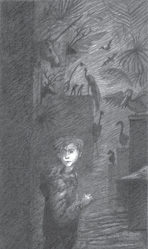 Иллюстрация к книге — Где-то там гиппопотам  [i_232.jpg]