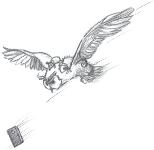 Иллюстрация к книге — Где-то там гиппопотам  [i_238.jpg]