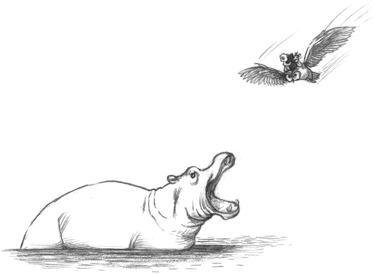 Иллюстрация к книге — Где-то там гиппопотам  [i_239.jpg]