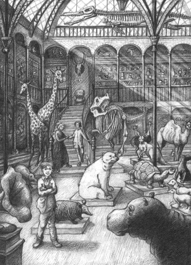 Иллюстрация к книге — Где-то там гиппопотам  [i_241.jpg]