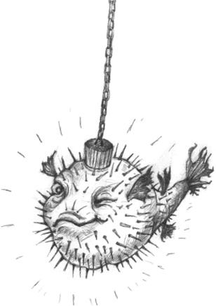 Иллюстрация к книге — Где-то там гиппопотам  [i_242.jpg]