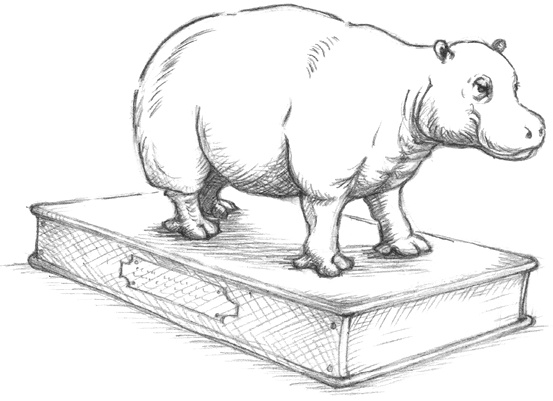 Иллюстрация к книге — Где-то там гиппопотам  [i_250.jpg]