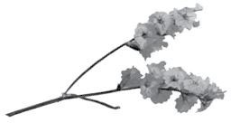 Иллюстрация к книге — Недостаточно худая. Дневник топ-модели [i_001.jpg]