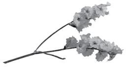 Иллюстрация к книге — Недостаточно худая. Дневник топ-модели [i_009.jpg]