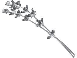 Иллюстрация к книге — Недостаточно худая. Дневник топ-модели [i_012.jpg]