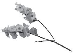 Иллюстрация к книге — Недостаточно худая. Дневник топ-модели [i_017.jpg]