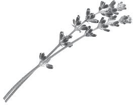 Иллюстрация к книге — Недостаточно худая. Дневник топ-модели [i_018.jpg]