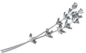 Иллюстрация к книге — Недостаточно худая. Дневник топ-модели [i_022.jpg]