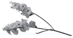 Иллюстрация к книге — Недостаточно худая. Дневник топ-модели [i_023.jpg]