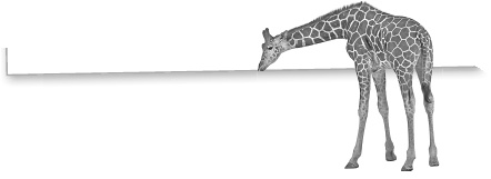 Иллюстрация к книге — Записки путешествующего ветеринара: нескучные истории о диких пациентах  [i_011.jpg]