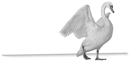 Иллюстрация к книге — Записки путешествующего ветеринара: нескучные истории о диких пациентах  [i_016.jpg]