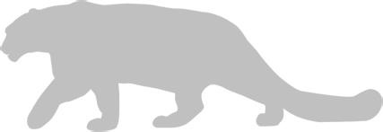 Иллюстрация к книге — Записки путешествующего ветеринара: нескучные истории о диких пациентах  [i_018.jpg]