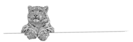 Иллюстрация к книге — Записки путешествующего ветеринара: нескучные истории о диких пациентах  [i_020.jpg]