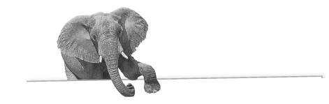 Иллюстрация к книге — Записки путешествующего ветеринара: нескучные истории о диких пациентах  [i_027.jpg]