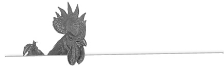 Иллюстрация к книге — Записки путешествующего ветеринара: нескучные истории о диких пациентах  [i_030.jpg]