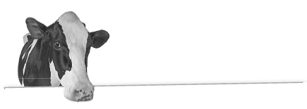 Иллюстрация к книге — Записки путешествующего ветеринара: нескучные истории о диких пациентах  [i_037.jpg]