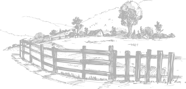 Иллюстрация к книге — Записки путешествующего ветеринара: нескучные истории о диких пациентах  [i_044.jpg]