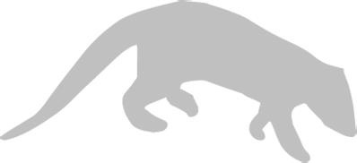 Иллюстрация к книге — Записки путешествующего ветеринара: нескучные истории о диких пациентах  [i_048.jpg]