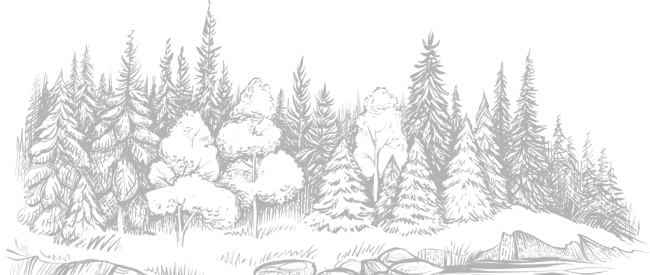 Иллюстрация к книге — Записки путешествующего ветеринара: нескучные истории о диких пациентах  [i_049.jpg]