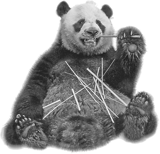 Иллюстрация к книге — Записки путешествующего ветеринара: нескучные истории о диких пациентах  [i_052.jpg]