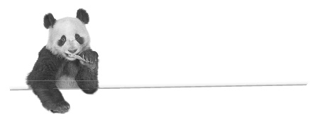 Иллюстрация к книге — Записки путешествующего ветеринара: нескучные истории о диких пациентах  [i_053.jpg]