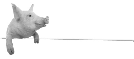 Иллюстрация к книге — Записки путешествующего ветеринара: нескучные истории о диких пациентах  [i_058.jpg]