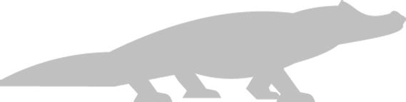 Иллюстрация к книге — Записки путешествующего ветеринара: нескучные истории о диких пациентах  [i_066.jpg]