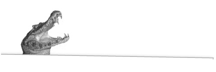 Иллюстрация к книге — Записки путешествующего ветеринара: нескучные истории о диких пациентах  [i_067.jpg]