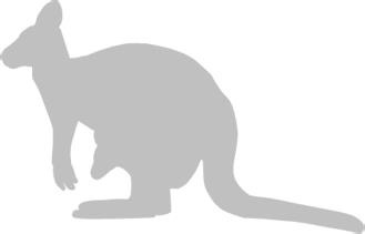 Иллюстрация к книге — Записки путешествующего ветеринара: нескучные истории о диких пациентах  [i_070.jpg]