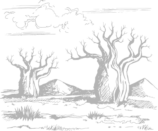 Иллюстрация к книге — Записки путешествующего ветеринара: нескучные истории о диких пациентах  [i_071.jpg]