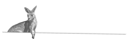 Иллюстрация к книге — Записки путешествующего ветеринара: нескучные истории о диких пациентах  [i_072.jpg]