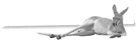 Иллюстрация к книге — Записки путешествующего ветеринара: нескучные истории о диких пациентах  [i_073.jpg]