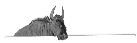 Иллюстрация к книге — Записки путешествующего ветеринара: нескучные истории о диких пациентах  [i_083.jpg]