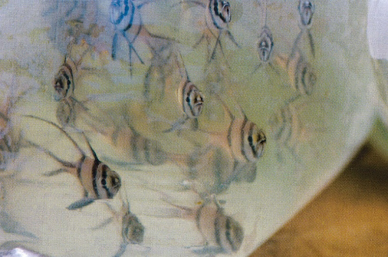 Иллюстрация к книге — Что знает рыба. Внутренний мир наших подводных собратьев [i_013.jpg]