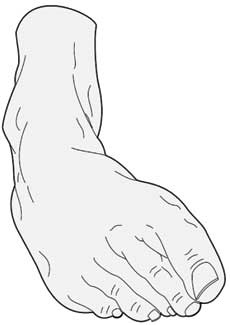 Иллюстрация к книге — Здоровье через стопы  [i_002.jpg]