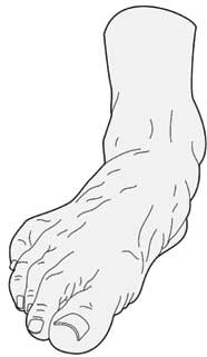 Иллюстрация к книге — Здоровье через стопы  [i_003.jpg]