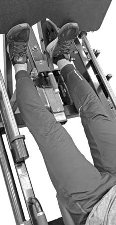 Иллюстрация к книге — Здоровье через стопы  [i_005.jpg]