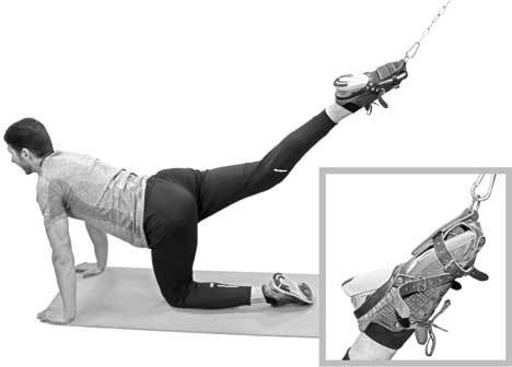 Иллюстрация к книге — Здоровье через стопы  [i_015.jpg]