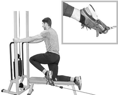 Иллюстрация к книге — Здоровье через стопы  [i_017.jpg]