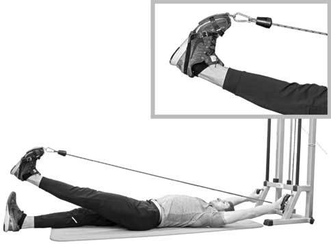 Иллюстрация к книге — Здоровье через стопы  [i_021.jpg]