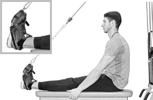 Иллюстрация к книге — Здоровье через стопы  [i_022.jpg]