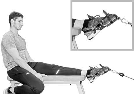 Иллюстрация к книге — Здоровье через стопы  [i_024.jpg]