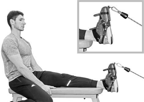 Иллюстрация к книге — Здоровье через стопы  [i_025.jpg]