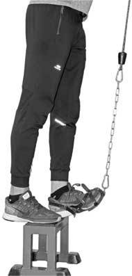 Иллюстрация к книге — Здоровье через стопы  [i_026.jpg]