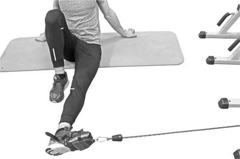 Иллюстрация к книге — Здоровье через стопы  [i_029.jpg]