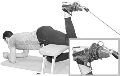 Иллюстрация к книге — Здоровье через стопы  [i_033.jpg]