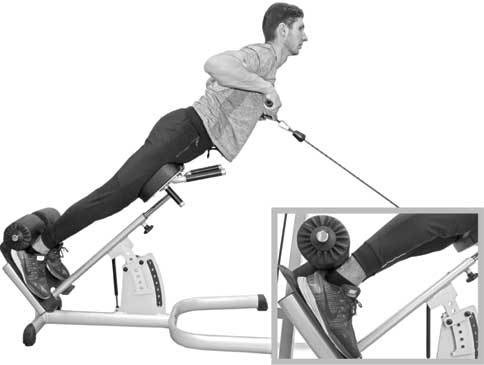 Иллюстрация к книге — Здоровье через стопы  [i_039.jpg]