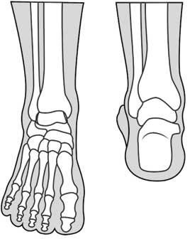 Иллюстрация к книге — Здоровье через стопы  [i_051.jpg]